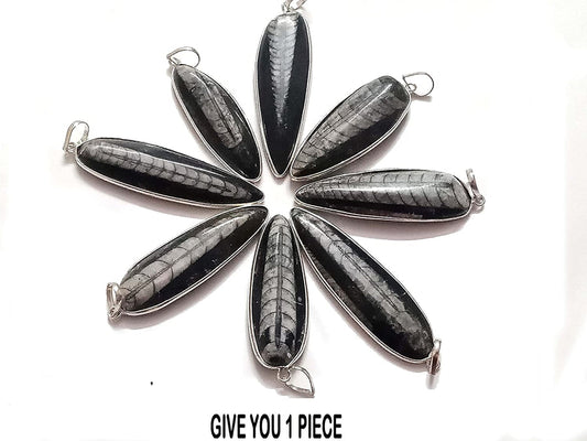 Kuber Stone Black and White Kuber Orthoceras Stone Finance Stone for Success and Reduces Stress Reiki Energy Crystal